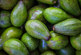 Recepti s avokadom: Voće koje smanjuje holesterol trebalo bi se češće naći na vašem tanjiru