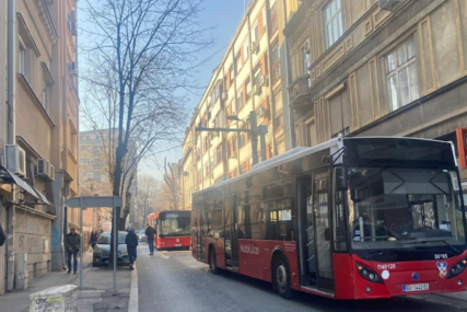 Beograđanin sa bul terijerom ušao u autobus, a onda ga je vozač pozvao: Postupak šokirao putnike