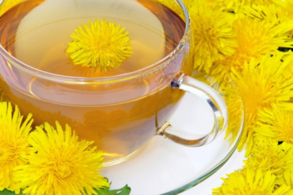 13 razloga da pijete čaj od maslačka: Nema bolesti koje ne liječi ovaj napitak!