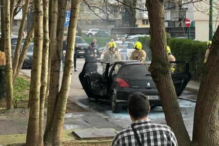 (VIDEO) Izgorio Peugeot na Otoci: 'Vatrogasci došli brzo ali je vozilo cijelo izgorilo'