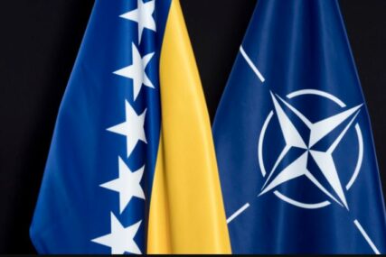 Bosna i Hercegovina, Ukrajina i Gruzija bi trebale dobiti novoosmišljeni status kandidata u NATO-u