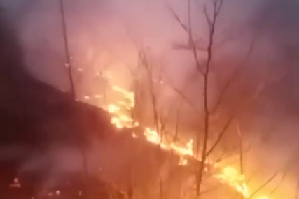 (VIDEO) Sarajevski vatrogasci se bore sa vatrenom linijom dugom 2 kilometra: Ogroman PODMETNUTI požar prema Bjelašnici