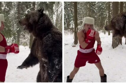 HIT NA DRUŠTVENIM MREŽAMA Ruski bokser za sparing partnera izabrao medvjeda