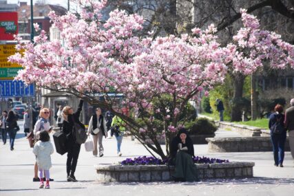 "Proljeće je, sve behara, čak i šljiva stara" Građani Sarajeva i turisti uživaju u prelijepoj suboti (FOTO)