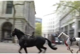 Pobjegli vojni konji jurili centrom Londona. Jedan kao da je prekriven krvlju (VIDEO)