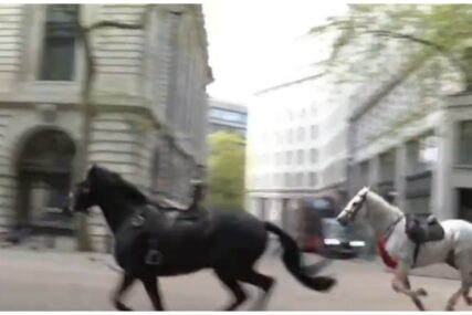 Pobjegli vojni konji jurili centrom Londona. Jedan kao da je prekriven krvlju (VIDEO)