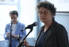 Tineke Strik traži EU Screening za BiH