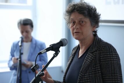 Tineke Strik traži EU Screening za BiH