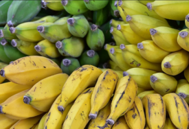 Koje banane su zdravije – zelene, žute ili smeđe?