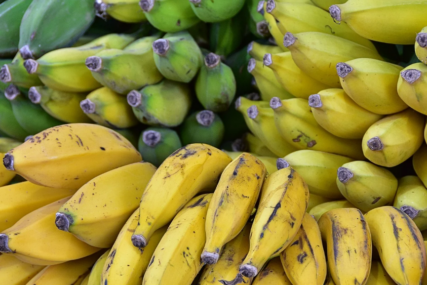 banane zelene banane zute banane zrele
