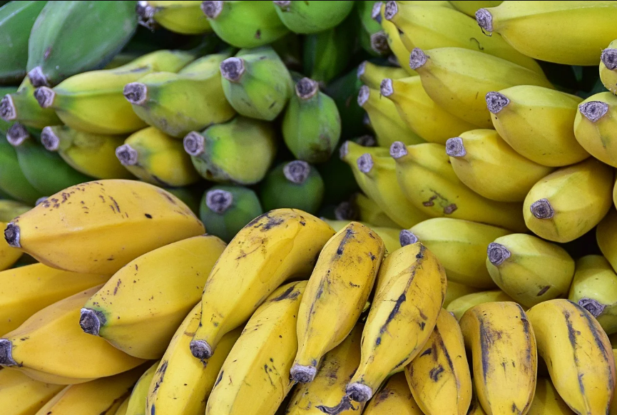 banane zelene banane zute banane zrele
