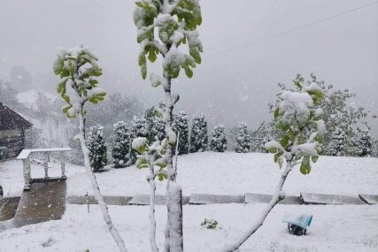 HAOS U HRVATSKOJ Jak vjetar ruši stabla - pogledajte snimke iz Zagorja: Jučer 30°C, danas snijeg