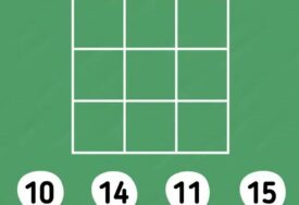 Test opažanja: Ako izbrojiš sve kvadrate na slici za manje od 10 sekundi tvoj IQ je iznad prosjeka
