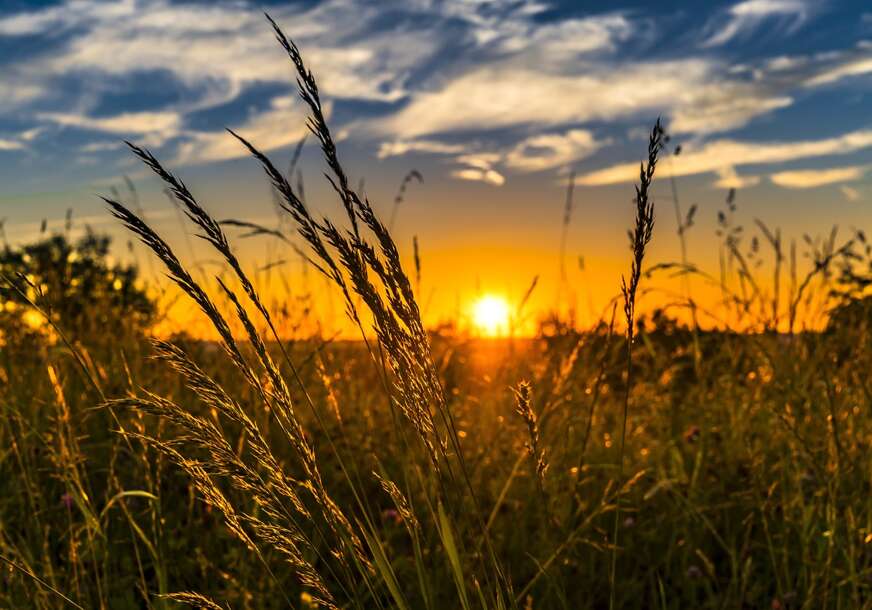 ljeto priroda proljece sunce trava