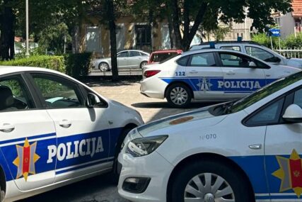 Crna Gora: Uhapšena direktorica Agencije za sprječavanje korupcije?