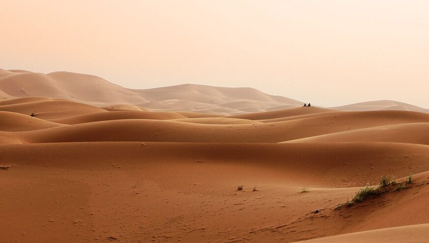 sahara pustinja