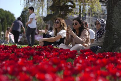 Sezona tulipana u Istanbulu - lijek za oči (FOTO)