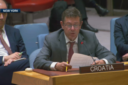 Hrvatski ambasador u UN pozvao BiH da riješi “izborni” problem