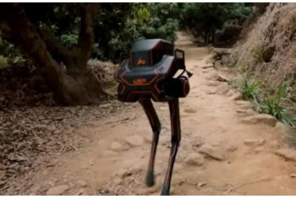 Kinezi pustili robota u šumu: Preživio batine i ostao na nogama (VIDEO)