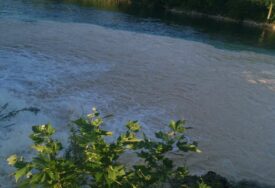 USR Neretva: Zamućenje vode ponovno je uzrokovalo neviđenu štetu ekosistemu rijeke Neretve
