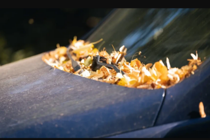 automobil prašina lišće