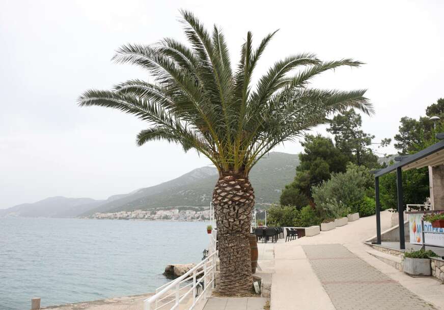 neum setaliste more plaza palma