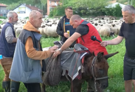 Posljednji nomadi: Eldin sa svojih 1.200 ovaca ide kroz BiH (VIDEO)