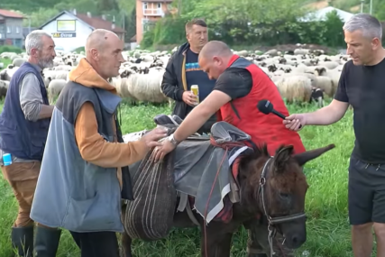 Posljednji nomadi: Eldin sa svojih 1.200 ovaca ide kroz BiH (VIDEO)