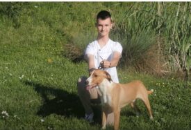 Pas iz BiH proglašen najljepšim na svijetu (VIDEO)
