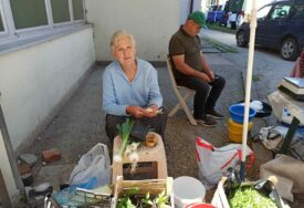 Sabira Hasanović 48 godina bavi se poljoprivredom, već dvije godine domaće proizvode prodaje na pijaci CIJENE SU SLABE, ALI MORA SE BORITI
