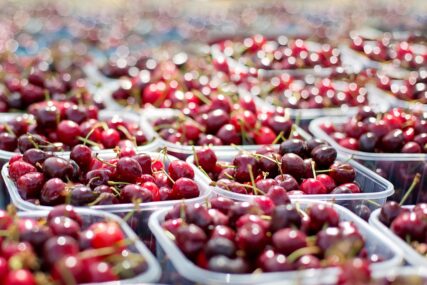 Stigle trešnje - Evo koliko iznosi kilogram omiljenog voća mnogih Bosanaca i Hercegovaca
