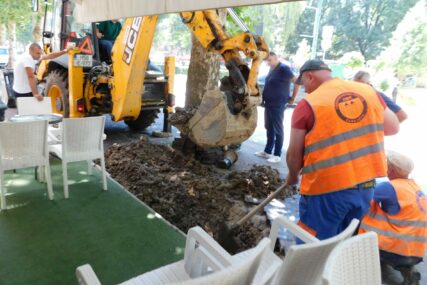 U FBiH 1,84 miliona radno sposobnog stanovništva, 49,4 posto ekonomski aktivnih