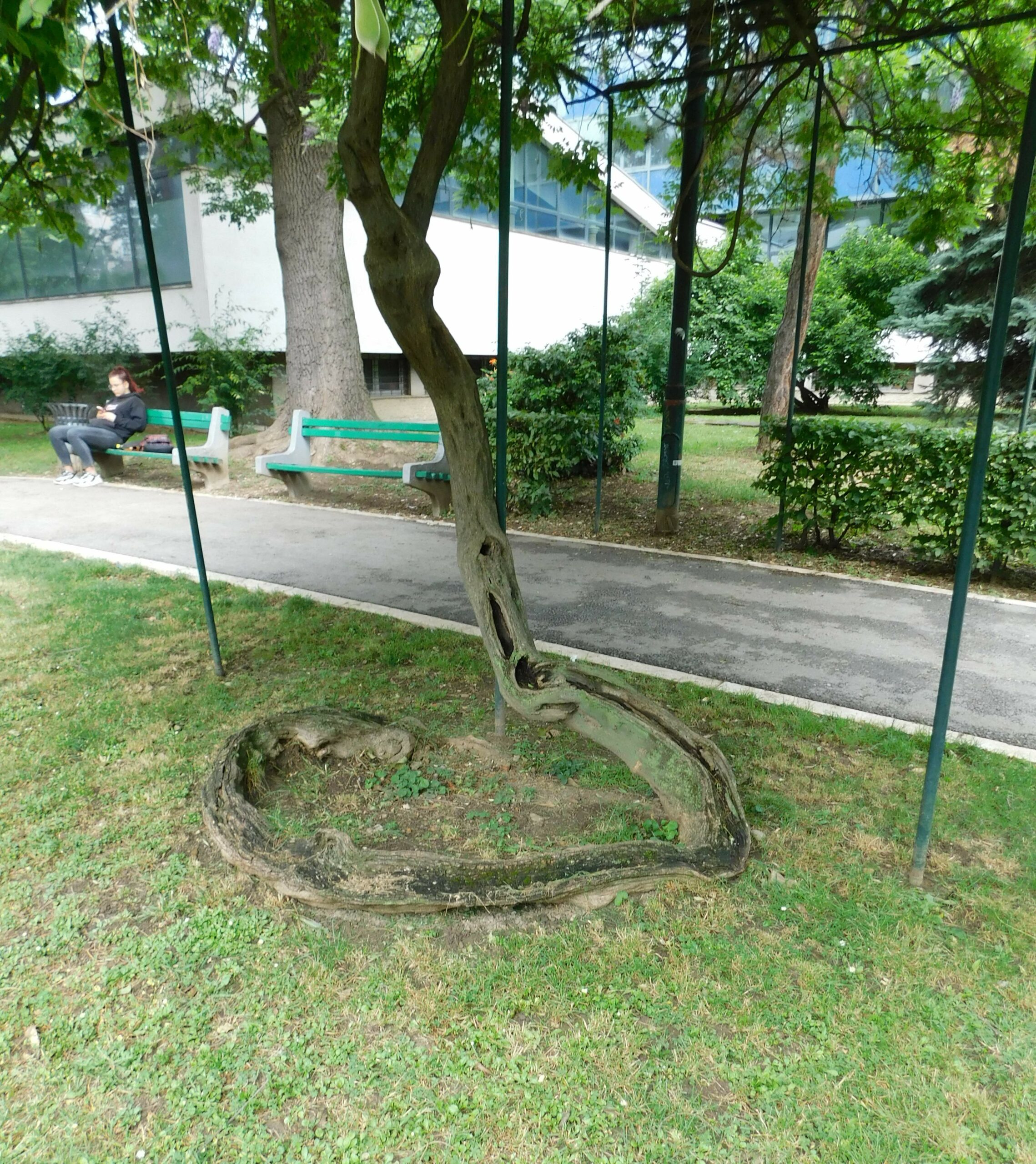 Mali park u Sarajevu