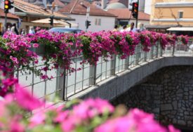 Žena bacala žardinjere cvijeća sa mosta u rijeku! Benjamina Karić poslala poruku (VIDEO)