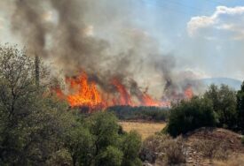 Šumski požari na grčkom Peloponezu: Gašenje otežava temperatura od 40 stepeni!