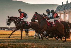 Hipodrom Butmir bio centar međunarodnih konjskih utrka (FOTO)