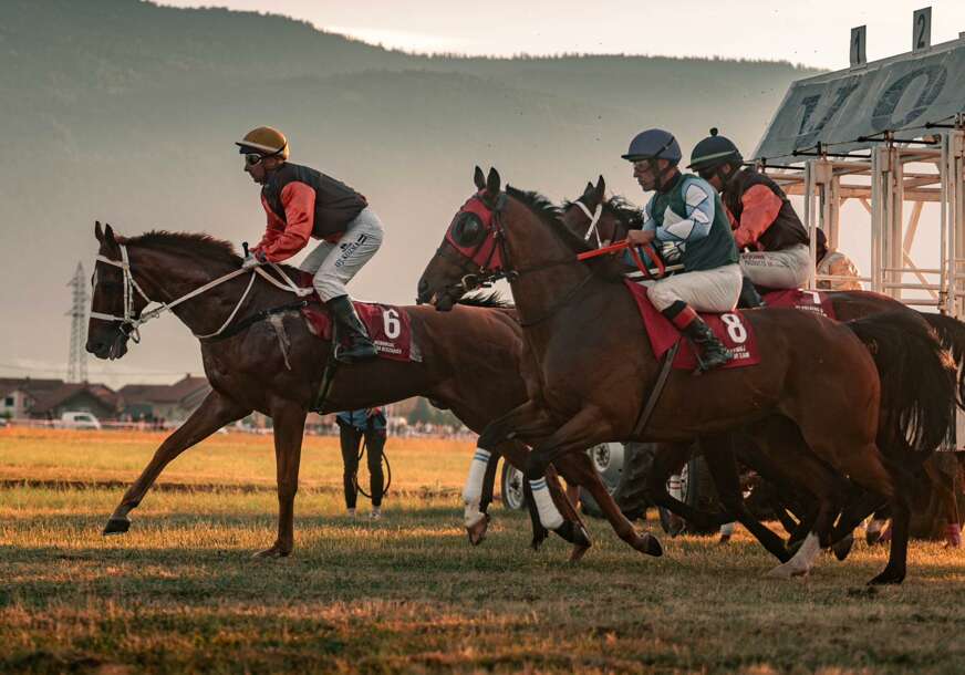 FOTO: USTUPLJENE FOTOGRAFIJE