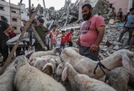 Palestinci žrtvovali kurbane na ruševinama svojih domova