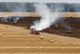 Zbog pada dalekovoda izgorjelo 16 hektara pšenice, gorjeli i presa, kombajn...
