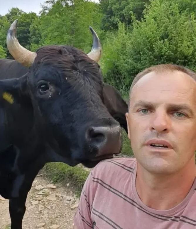 Šaban Julardžija sa bikom