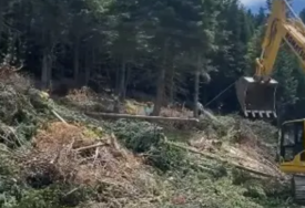 Anes Podić iz Eko akcije: Ministar Bojan Bošnjak iz Naše stranke odobrio je novo uništavanje šume na Bjelašnici