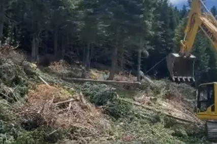Anes Podić iz Eko akcije: Ministar Bojan Bošnjak iz Naše stranke odobrio je novo uništavanje šume na Bjelašnici