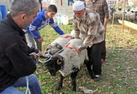 PRVOG DANA BAJRAMA Oko 16.000 mesara povrijeđeno u Turskoj