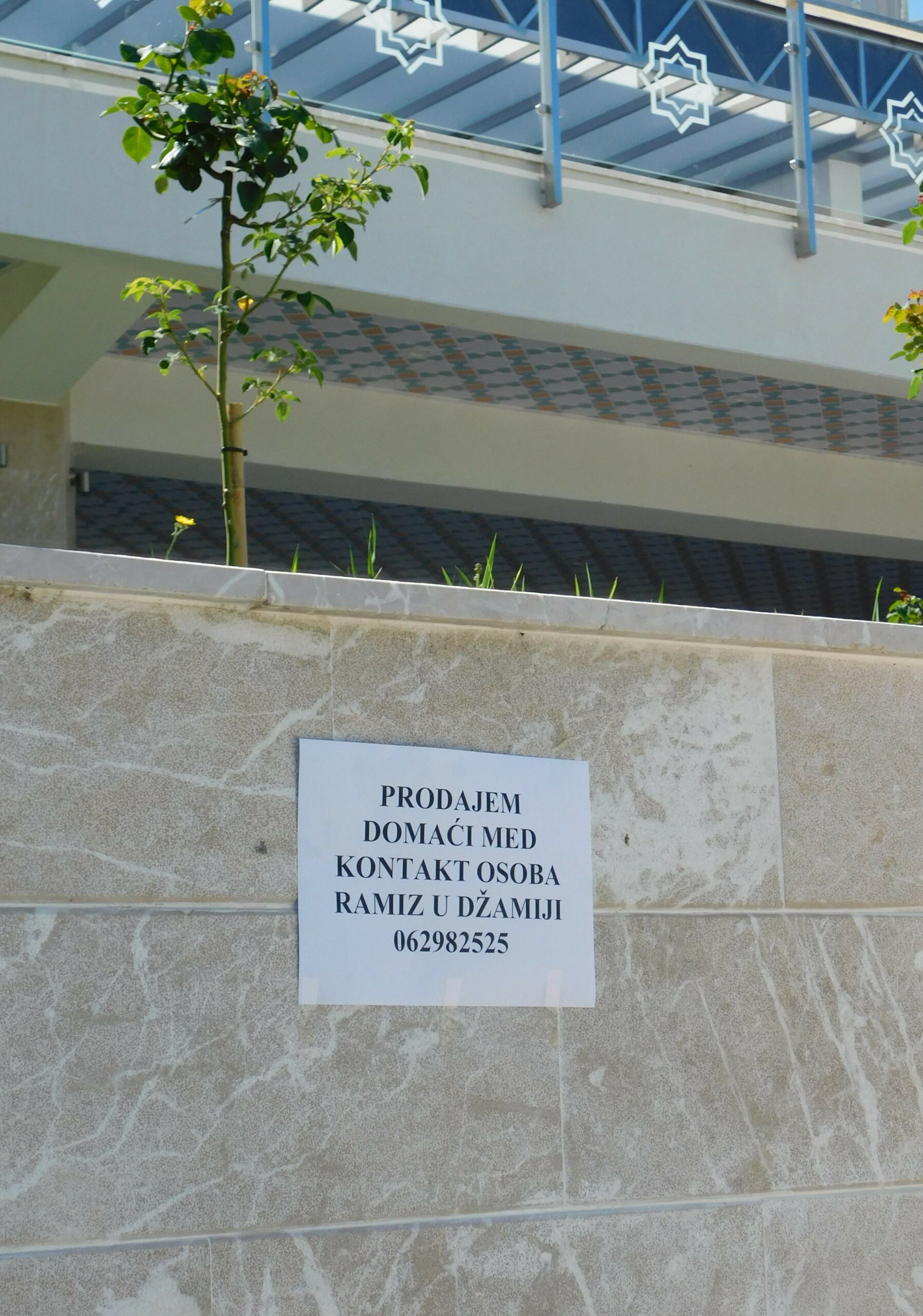FOTO: ESET MURAČEVIĆ