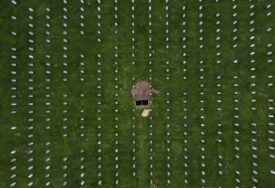 Vojvotkinja od Edinburga Sophie posjetit će BiH kako bi obilježila 30. godišnjicu genocida u Srebrenici
