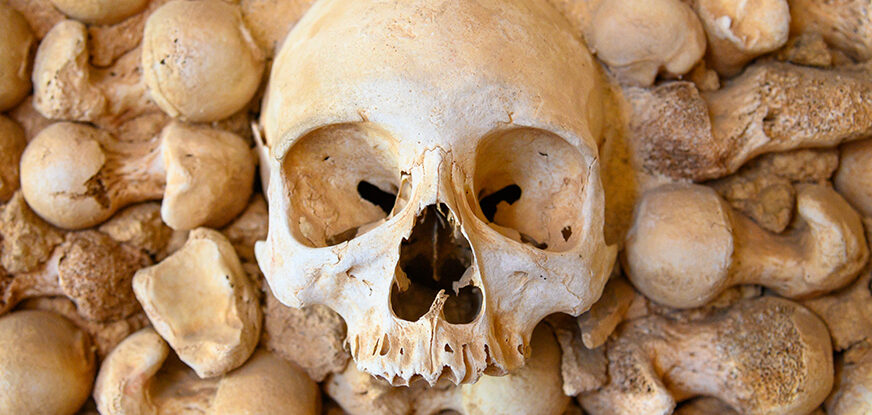 FOTO: SKULLPIC