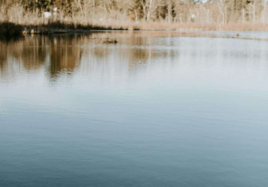 FOTO: UNSPLASH