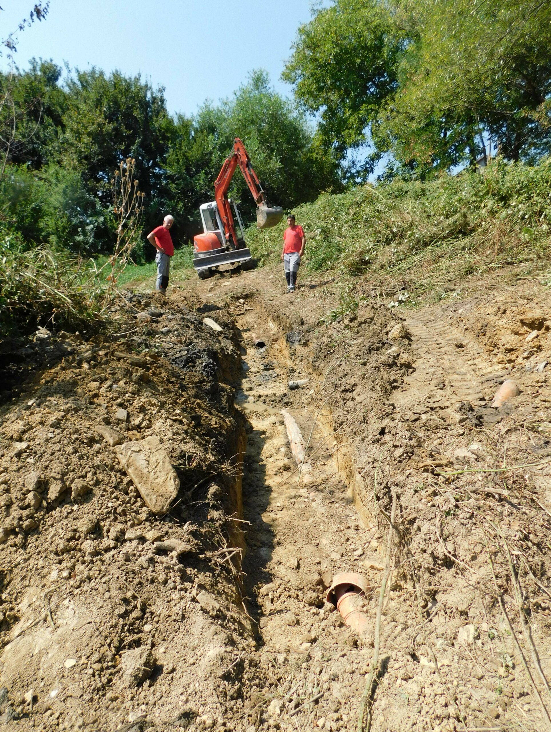 Krivoglavci, fekalije