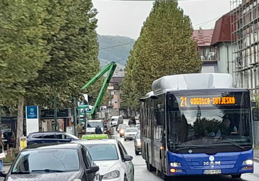 Kresanje grana 