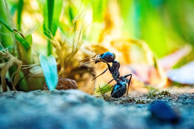 FOTO: FOTO:UNSPLASH